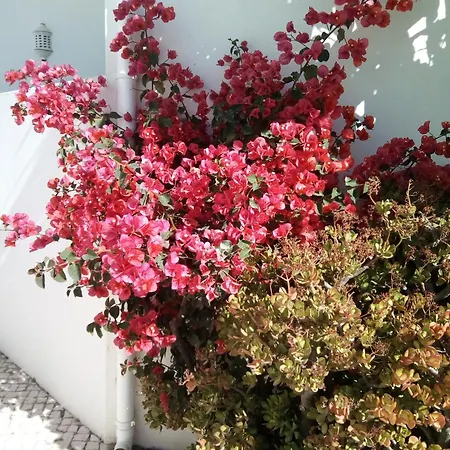 Ferienhaus Prainha Alvor - Cozy Villa