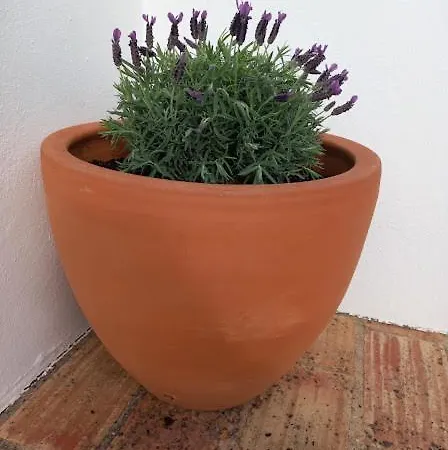 Cozy Summer House * Alvor